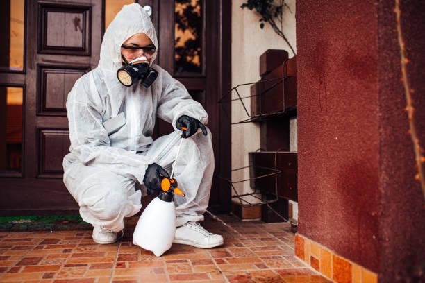 Attic and Crawl Space Rodent Treatment in Brewster